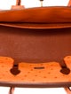 Hermès Ostrich Birkin 25