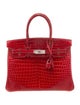 Hermès Shiny Niloticus Crocodile Birkin 30