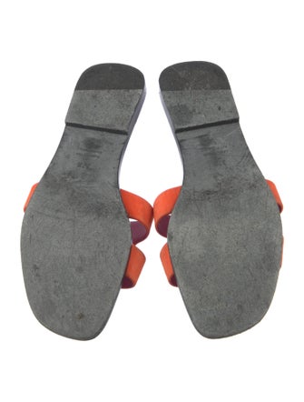 Hermès Oran H Logo Slides