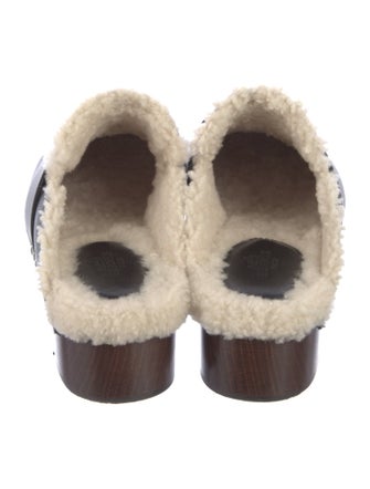 Hermès 2022 Carlotta Mules