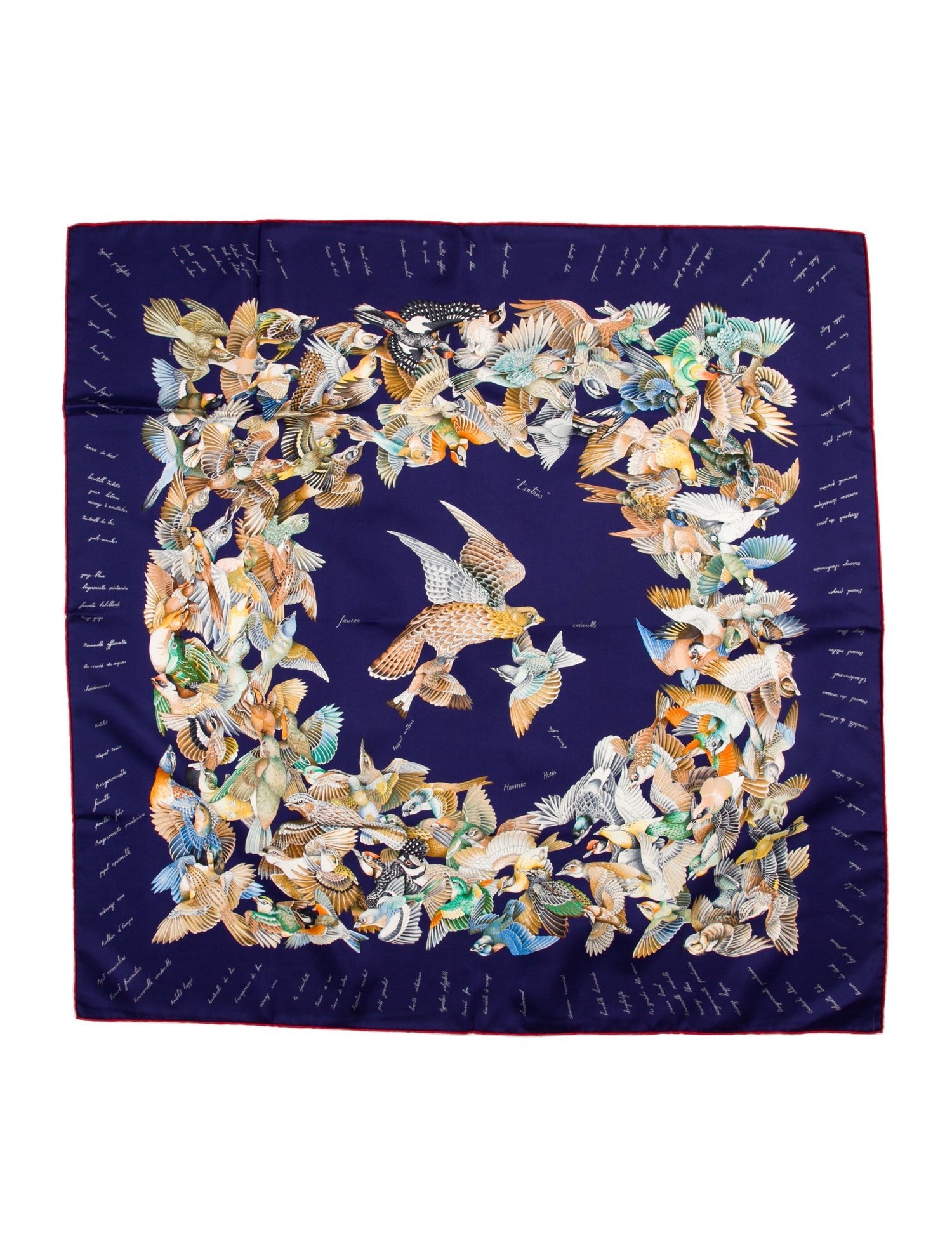 Hermès L’Intrus Silk Scarf