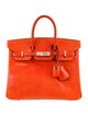 Hermès Niloticus Lizard Birkin 25