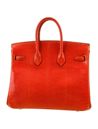 Hermès Niloticus Lizard Birkin 25
