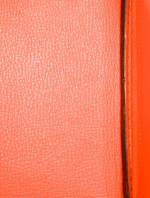 Hermès Niloticus Lizard Birkin 25