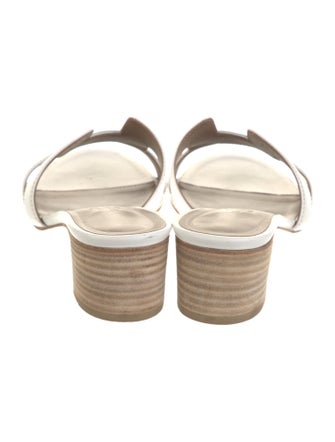 Hermès Oasis H Logo Slides