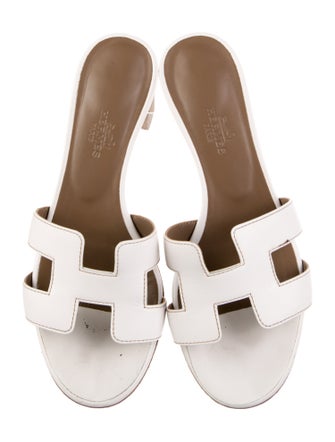 Hermès Oasis H Logo Slides