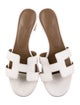 Hermès Oasis H Logo Slides