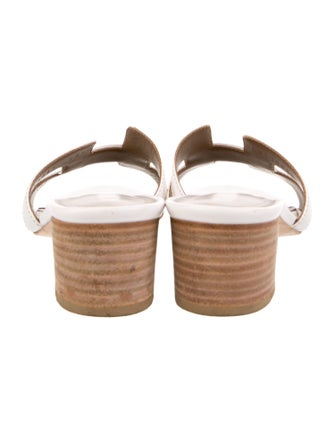 Hermès Oasis H Logo Slides