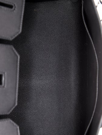 Hermès 2024 Evergrain Anate Birkin Sellier 35