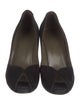 Hermès Suede Pumps