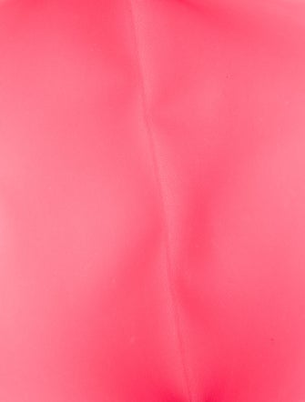 Hermès Hermès Evercolor Jige Elan 29