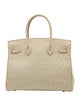 Hermès Ostrich Birkin 30