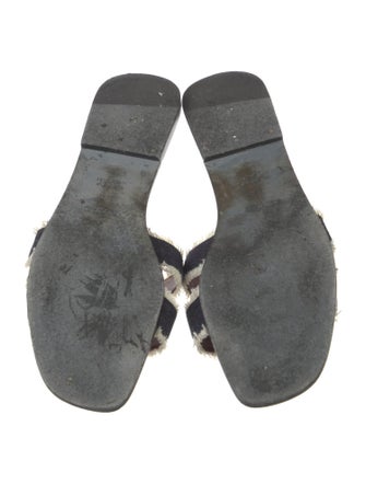 Hermès 2023 Oran Slides