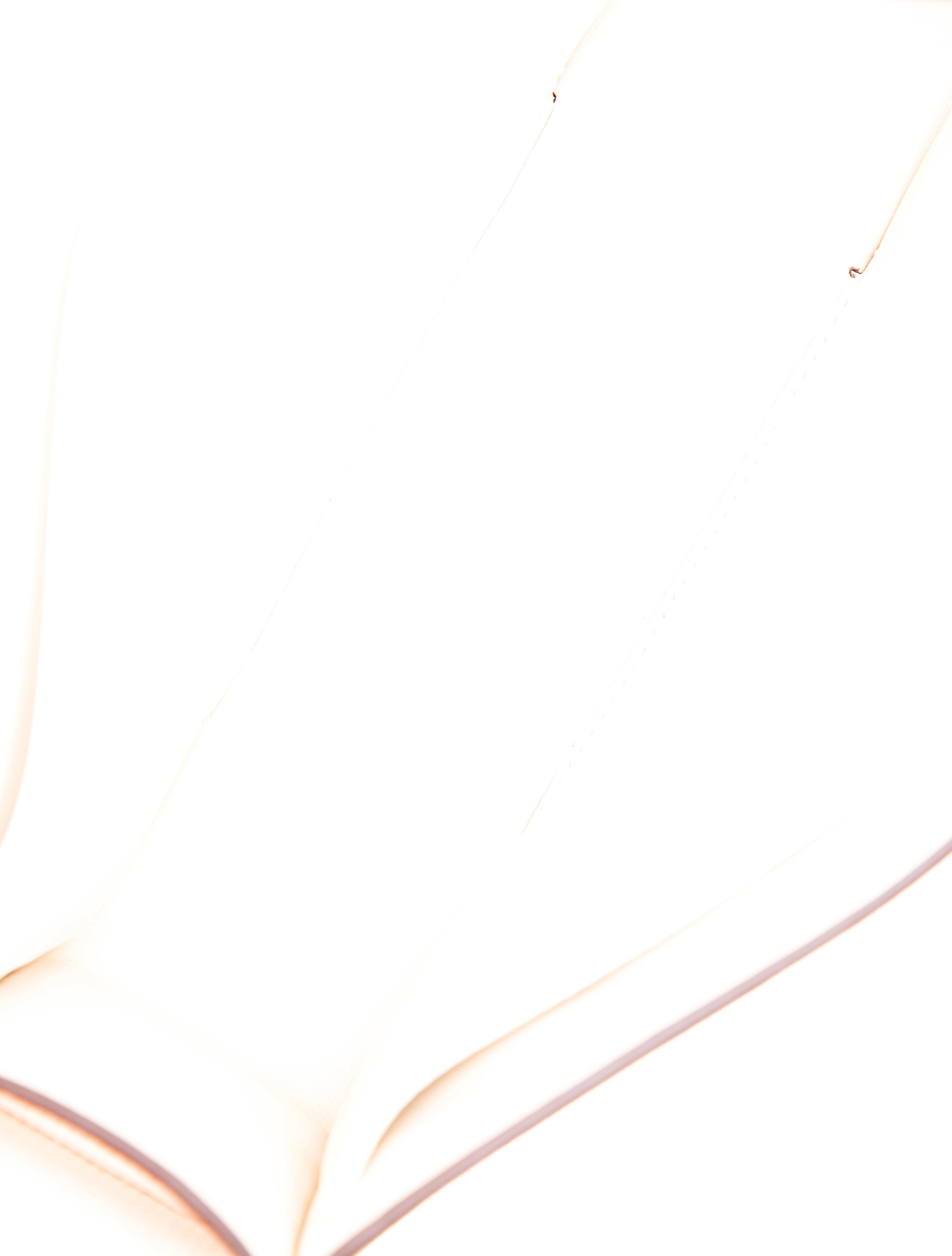 Hermès Chevre Mysore Geta