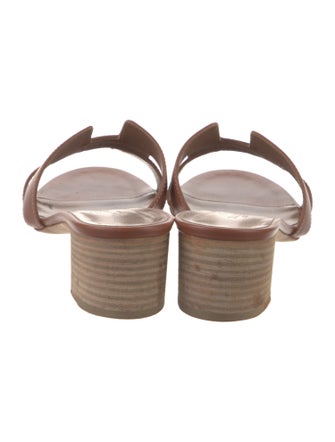 Hermès Oasis H Logo Slides