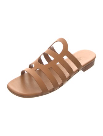 Hermès 2020 Camelia Slides