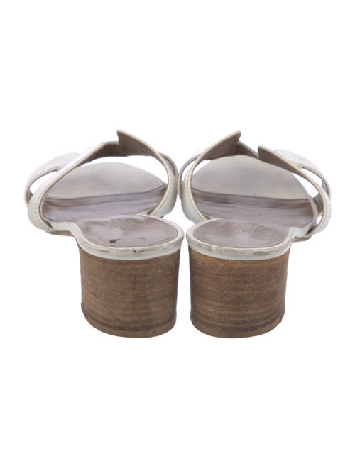 Hermès Oasis H Logo Slides