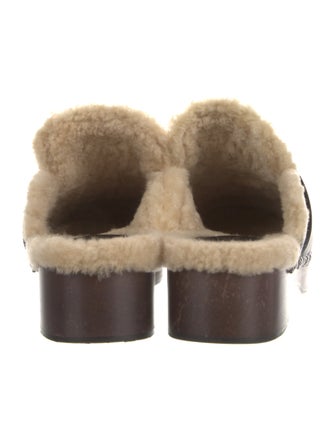 Hermès 2021 Carlotta Mules