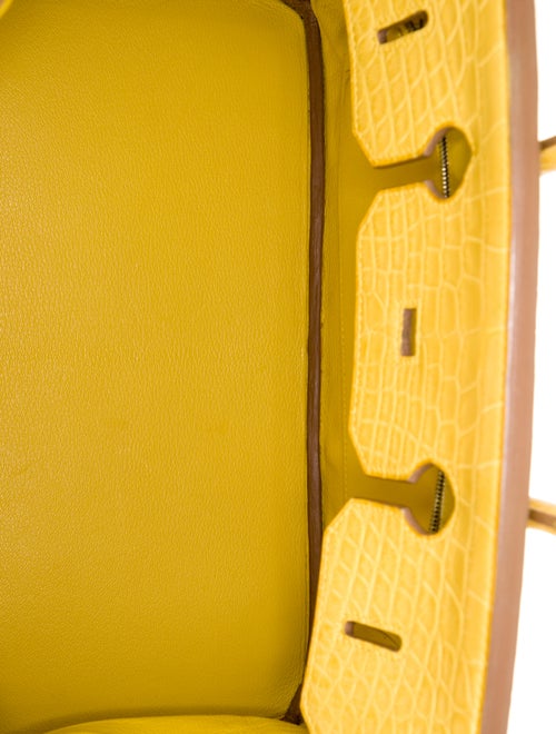 Hermès Matte Alligator Birkin 35