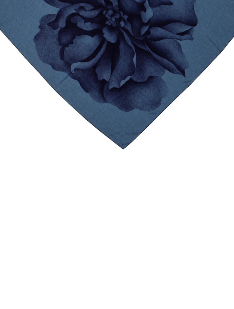 Hermès Une Rose Pour Alma Cashmere Scarf