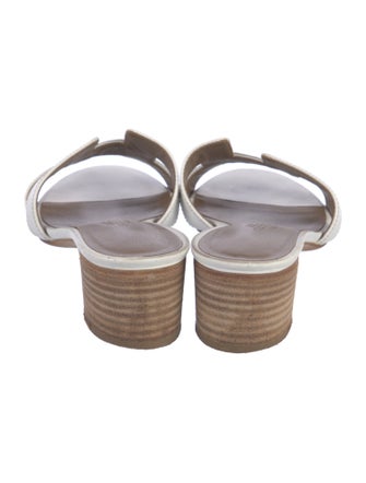 Hermès Oasis H Logo Slides