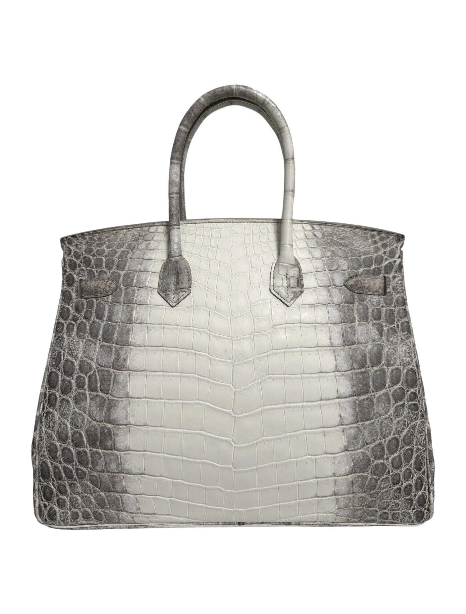 Hermès 2024 Matte Niloticus Crocodile Himalaya 18K Diamond Birkin 35