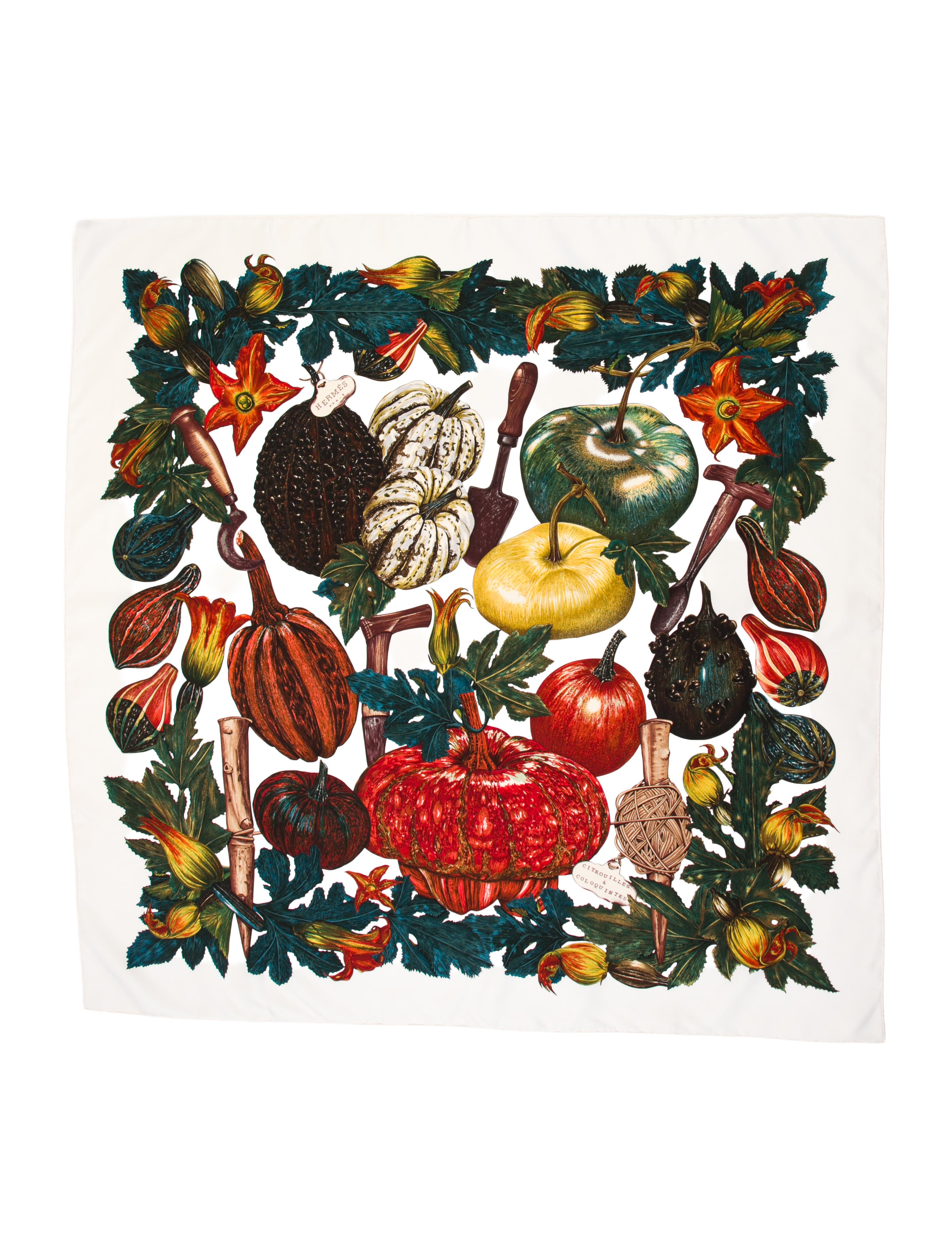 Hermès Citrouilles et Coloquintes Silk Scarf
