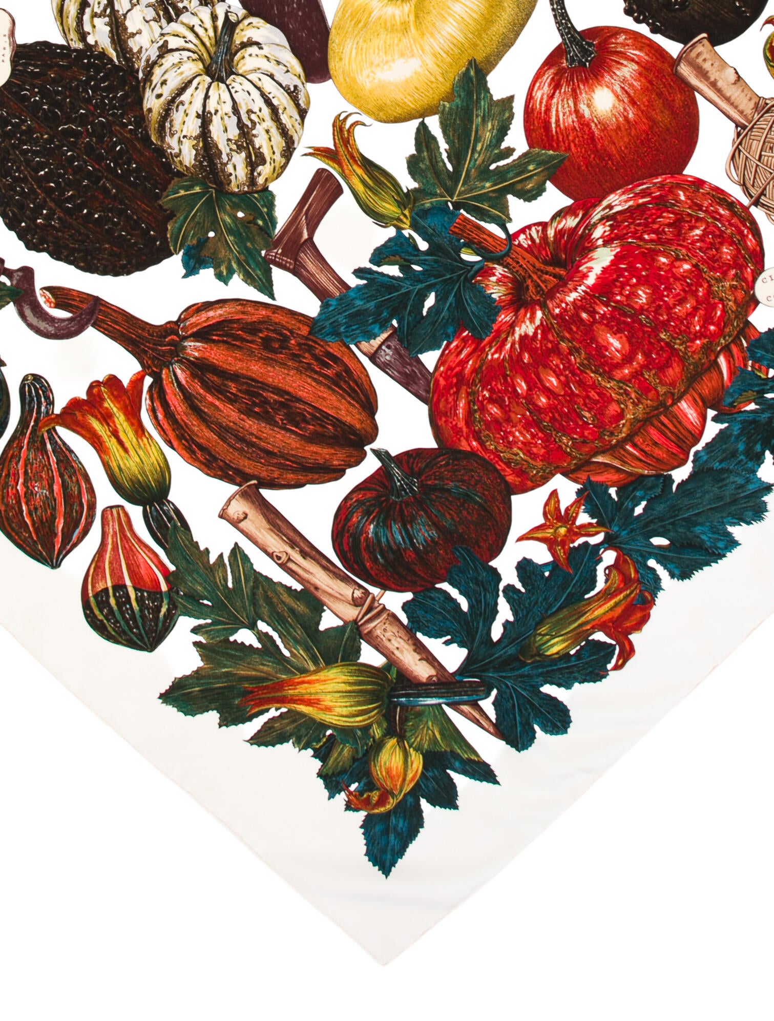 Hermès Citrouilles et Coloquintes Silk Scarf