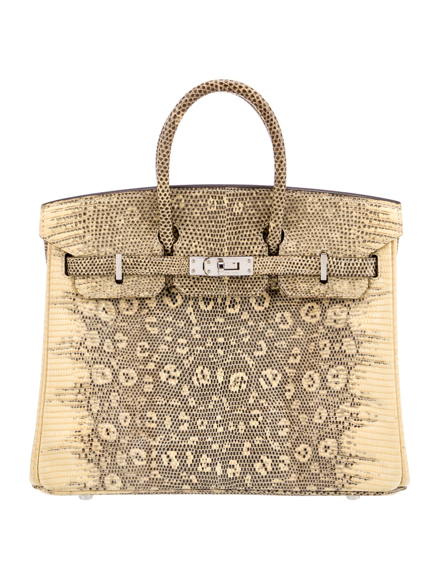 Hermès Ombre Varanus Salvator Lizard Birkin 25