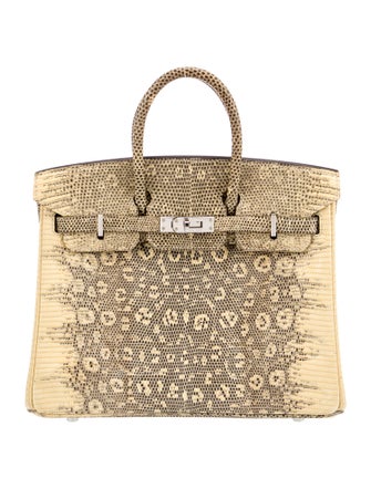 Hermès Ombre Varanus Salvator Lizard Birkin 25