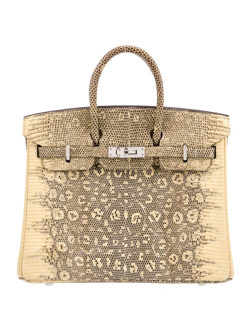 Hermès Ombre Varanus Salvator Lizard Birkin 25