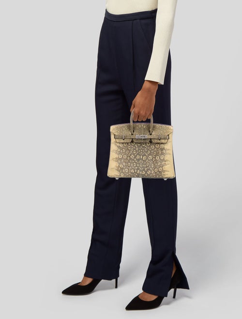 Hermès Ombre Varanus Salvator Lizard Birkin 25
