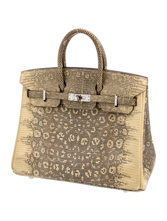 Hermès Ombre Varanus Salvator Lizard Birkin 25