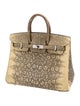 Hermès Ombre Varanus Salvator Lizard Birkin 25