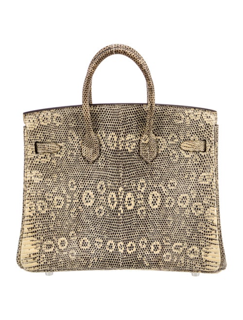Hermès Ombre Varanus Salvator Lizard Birkin 25