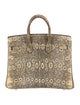 Hermès Ombre Varanus Salvator Lizard Birkin 25