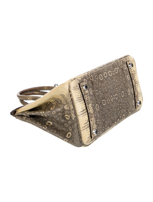 Hermès Ombre Varanus Salvator Lizard Birkin 25