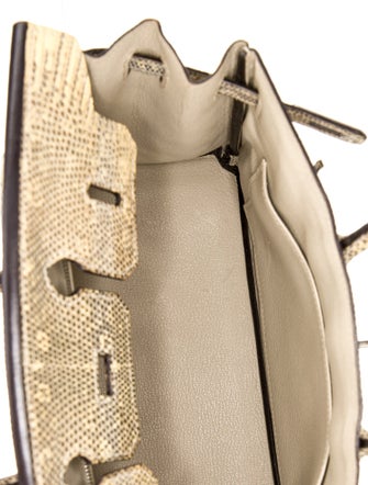 Hermès Ombre Varanus Salvator Lizard Birkin 25
