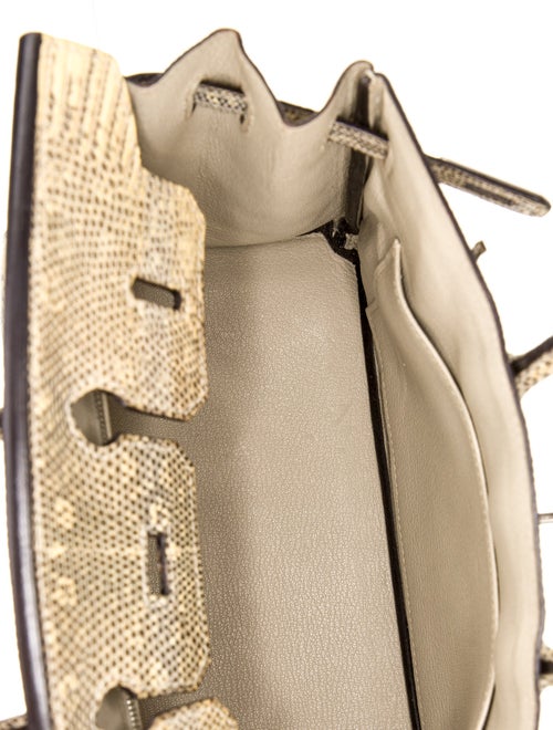 Hermès Ombre Varanus Salvator Lizard Birkin 25