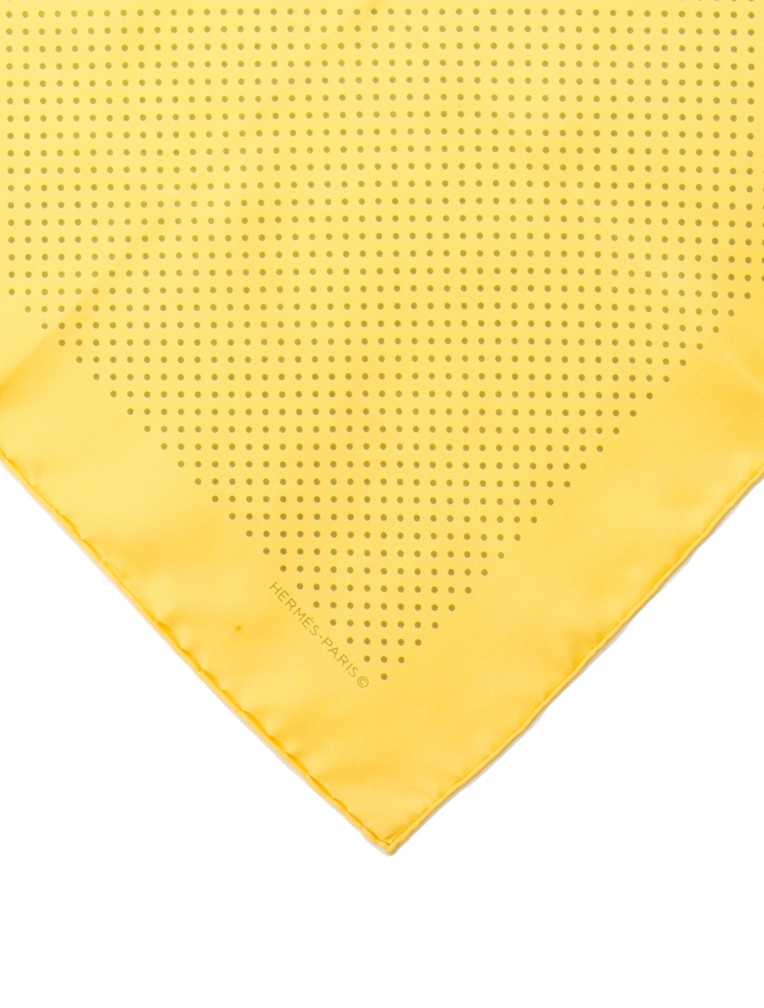 Hermès Silk Printed Scarf