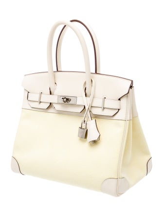 Hermès 2023 Toile H & Swift Birkin 30