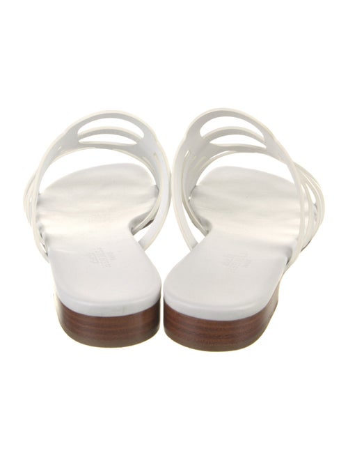 Hermès 2020 Camelia Slides