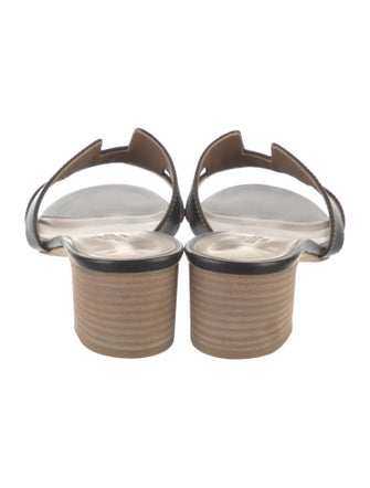 Hermès Oasis H Logo Slides