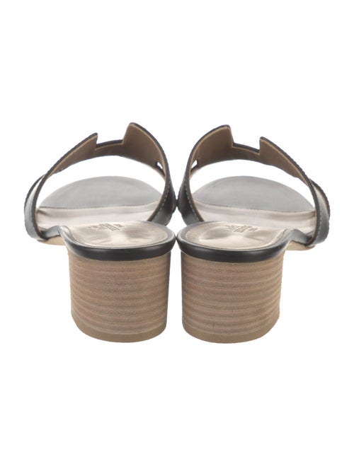 Hermès Oasis H Logo Slides