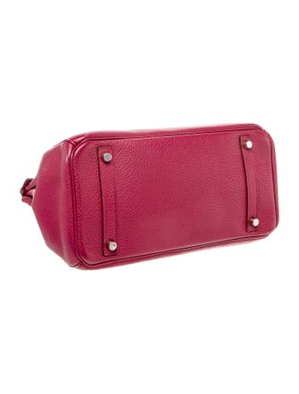 Hermès Clemence Birkin 30