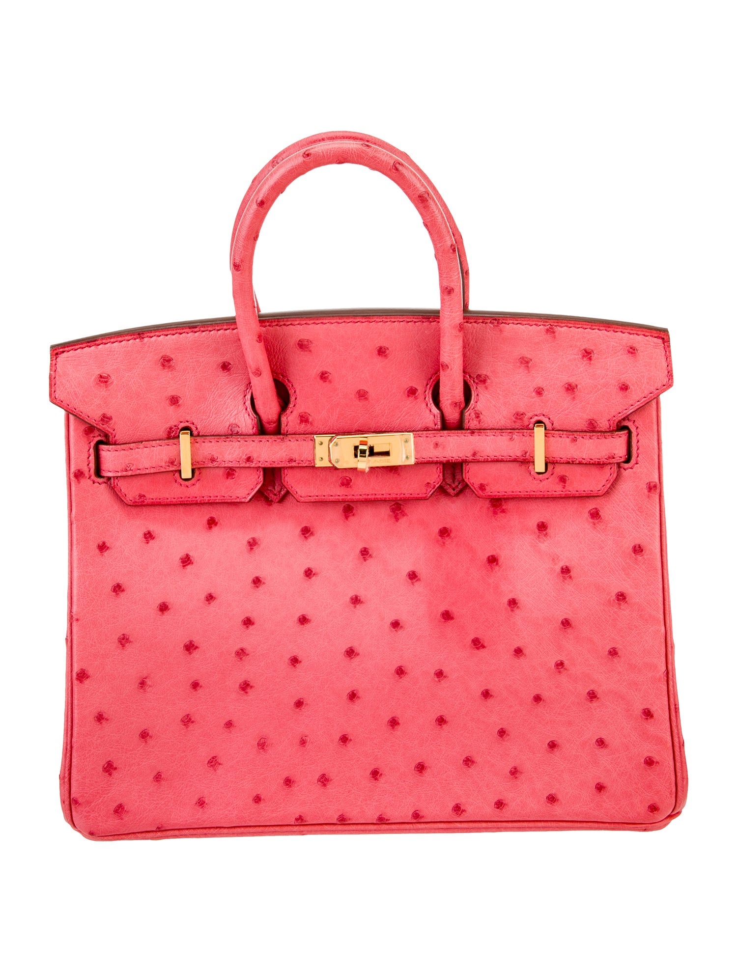 Hermès Ostrich Birkin 25