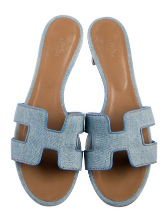 Hermès Oasis H Logo Slides