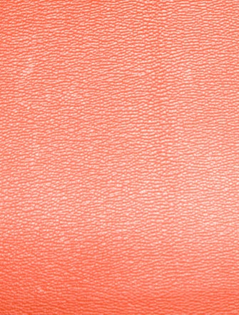 Hermès Matte Alligator Birkin 30