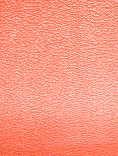 Hermès Matte Alligator Birkin 30