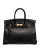 Hermès Ostrich Birkin 35